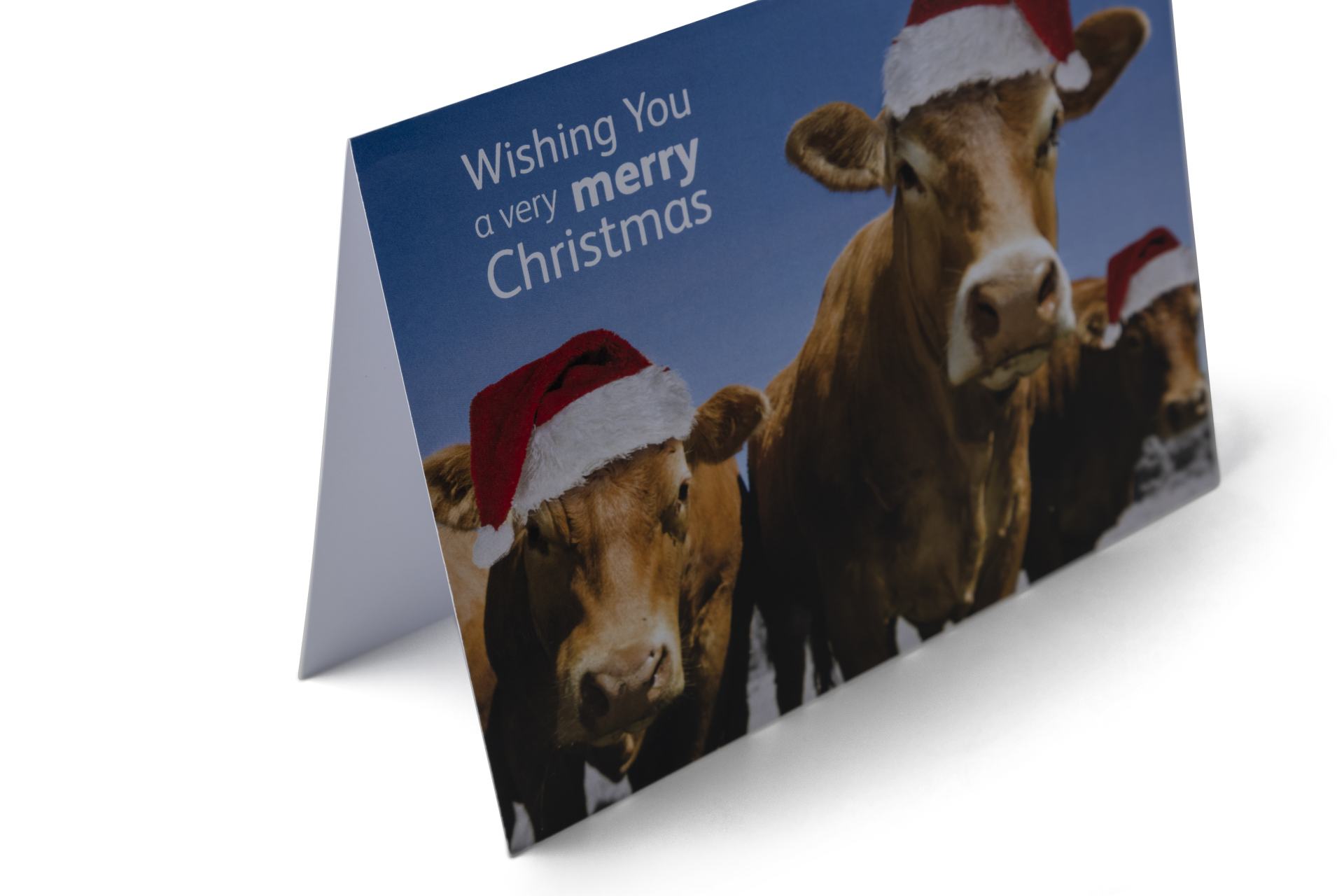 Bespoke Christmas Cards